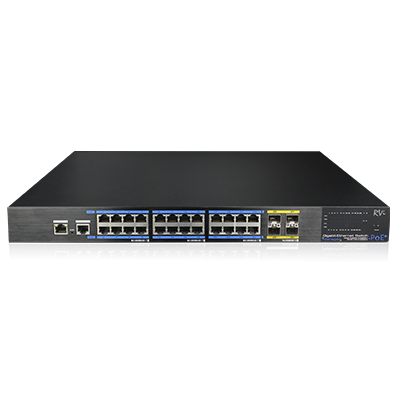 Сетевое оборудование RVi